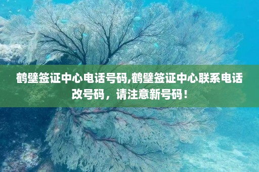 鹤壁签证中心电话号码,鹤壁签证中心联系电话改号码，请注意新号码！