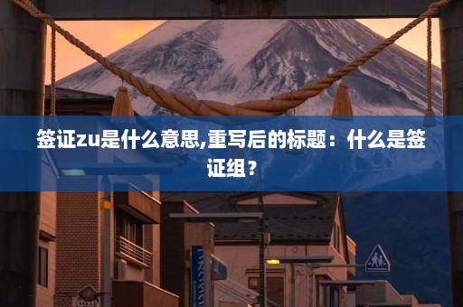 签证zu是什么意思,重写后的标题：什么是签证组？