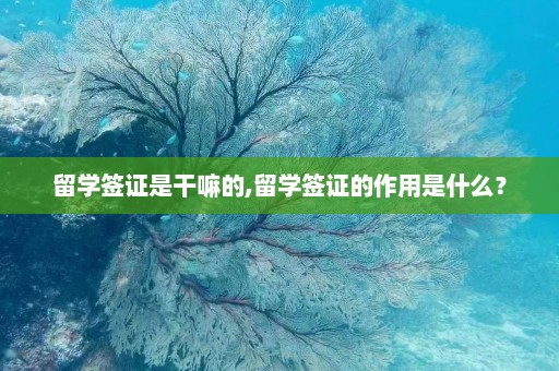 留学签证是干嘛的,留学签证的作用是什么？