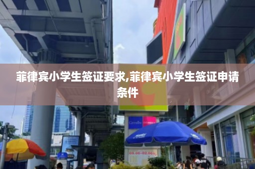 菲律宾小学生签证要求,菲律宾小学生签证申请条件