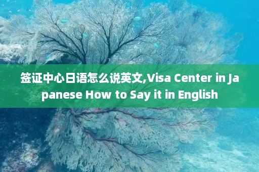 签证中心日语怎么说英文,Visa Center in Japanese How to Say it in English