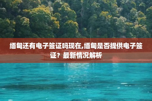 缅甸还有电子签证吗现在,缅甸是否提供电子签证？最新情况解析