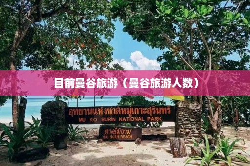 目前曼谷旅游（曼谷旅游人数）