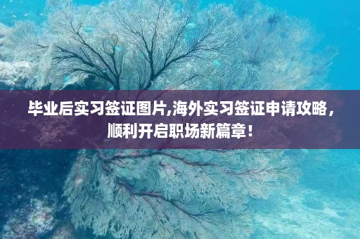 毕业后实习签证图片,海外实习签证申请攻略，顺利开启职场新篇章！