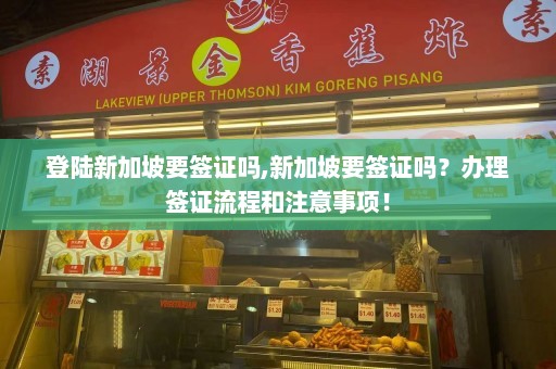 登陆新加坡要签证吗,新加坡要签证吗？办理签证流程和注意事项！