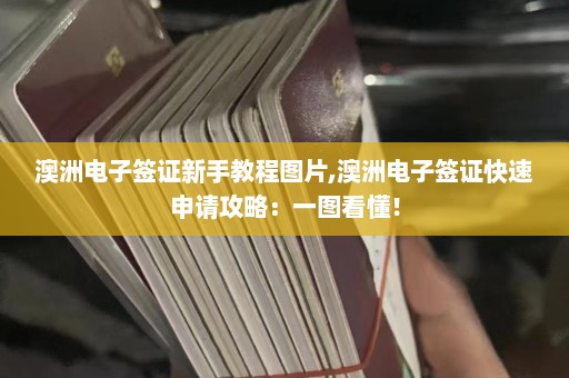 澳洲电子签证新手教程图片,澳洲电子签证快速申请攻略：一图看懂！  第1张