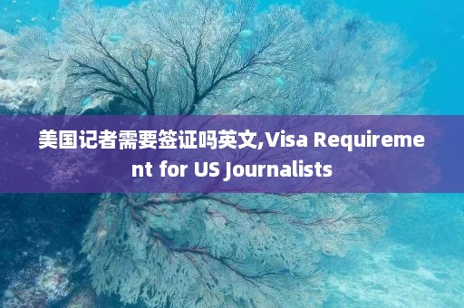 美国记者需要签证吗英文,Visa Requirement for US Journalists