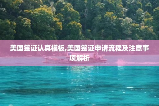 美国签证认真模板,美国签证申请流程及注意事项解析