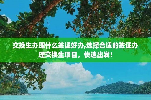 交换生办理什么签证好办,选择合适的签证办理交换生项目，快速出发！