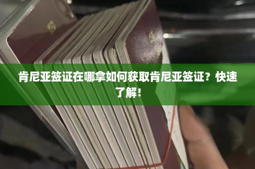 肯尼亚签证在哪拿如何获取肯尼亚签证？快速了解！  第1张