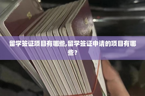 留学签证项目有哪些,留学签证申请的项目有哪些？