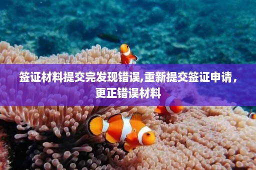 签证材料提交完发现错误,重新提交签证申请，更正错误材料