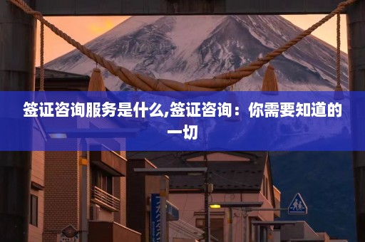 签证咨询服务是什么,签证咨询：你需要知道的一切