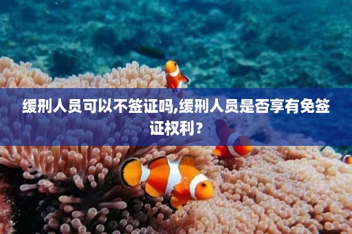 缓刑人员可以不签证吗,缓刑人员是否享有免签证权利？