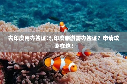 去印度用办签证吗,印度旅游需办签证？申请攻略在这！