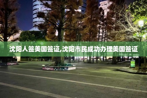 沈阳人签美国签证,沈阳市民成功办理美国签证