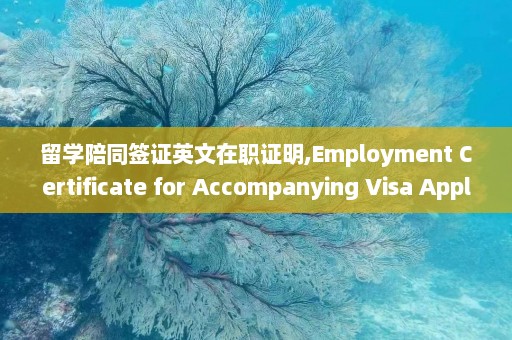 留学陪同签证英文在职证明,Employment Certificate for Accompanying Visa Application for Study Abroad