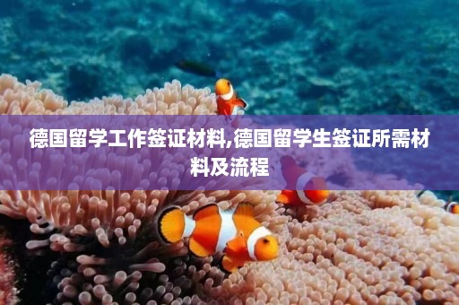 德国留学工作签证材料,德国留学生签证所需材料及流程