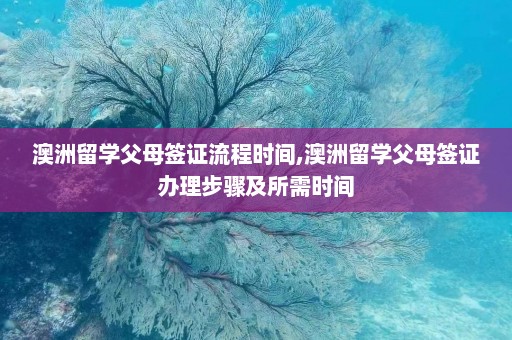 澳洲留学父母签证流程时间,澳洲留学父母签证办理步骤及所需时间