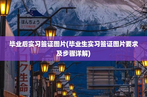 毕业后实习签证图片(毕业生实习签证图片要求及步骤详解)