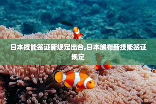 日本技能签证新规定出台,日本颁布新技能签证规定