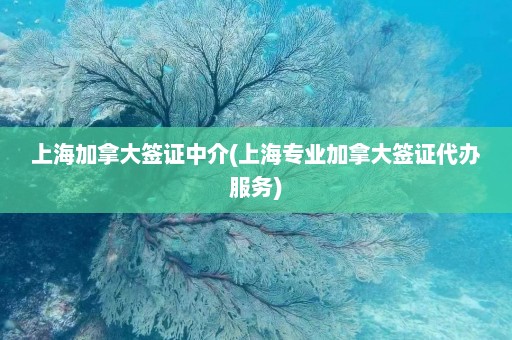 上海加拿大签证中介(上海专业加拿大签证代办服务)  第1张