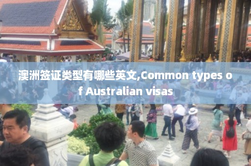 澳洲签证类型有哪些英文,Common types of Australian visas