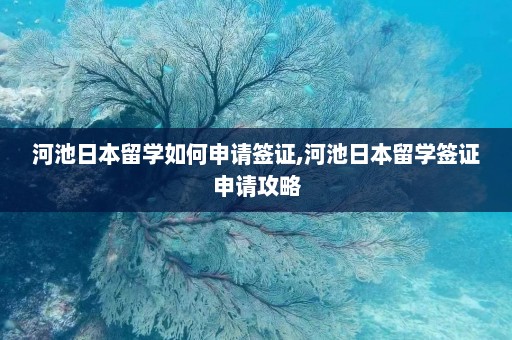 河池日本留学如何申请签证,河池日本留学签证申请攻略