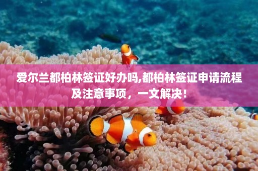 爱尔兰都柏林签证好办吗,都柏林签证申请流程及注意事项，一文解决！