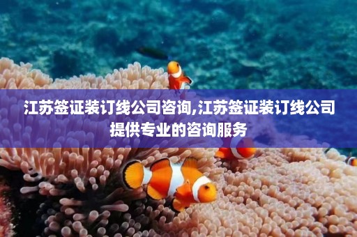 江苏签证装订线公司咨询,江苏签证装订线公司提供专业的咨询服务