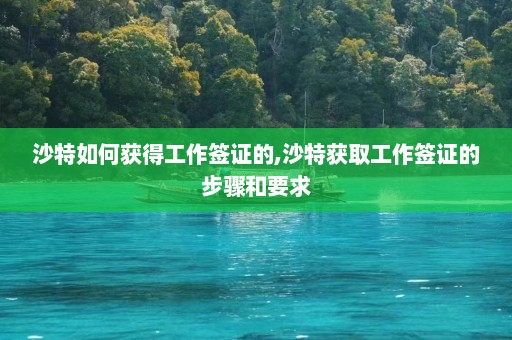 沙特如何获得工作签证的,沙特获取工作签证的步骤和要求