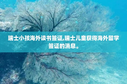 瑞士小孩海外读书签证,瑞士儿童获得海外留学签证的消息。