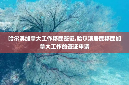 哈尔滨加拿大工作移民签证,哈尔滨居民移民加拿大工作的签证申请