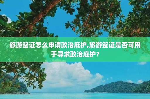 旅游签证怎么申请政治庇护,旅游签证是否可用于寻求政治庇护？