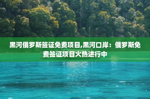 黑河俄罗斯签证免费项目,黑河口岸：俄罗斯免费签证项目火热进行中