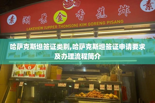 哈萨克斯坦签证类别,哈萨克斯坦签证申请要求及办理流程简介