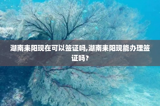 湖南耒阳现在可以签证吗,湖南耒阳现能办理签证吗？