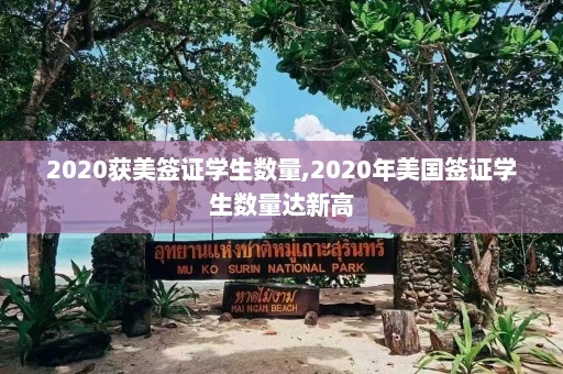 2020获美签证学生数量,2020年美国签证学生数量达新高