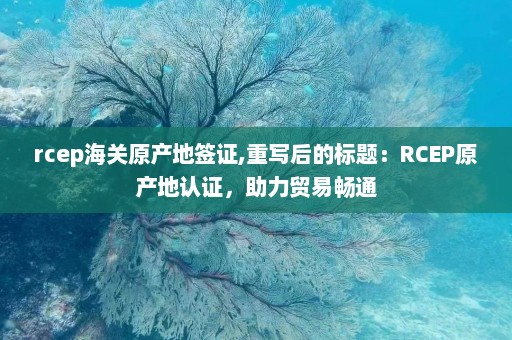 rcep海关原产地签证,重写后的标题：RCEP原产地认证，助力贸易畅通