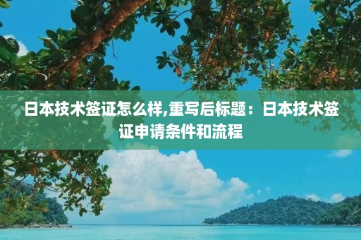 日本技术签证怎么样,重写后标题：日本技术签证申请条件和流程