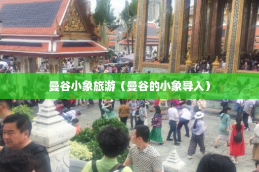 曼谷小象旅游（曼谷的小象导入）