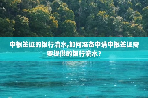 申根签证的银行流水,如何准备申请申根签证需要提供的银行流水？