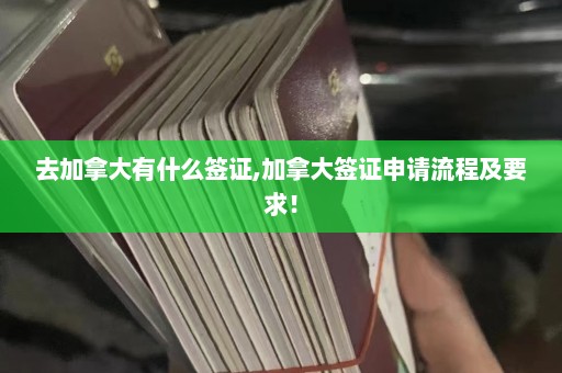 去加拿大有什么签证,加拿大签证申请流程及要求！