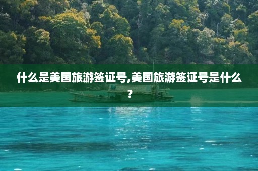 什么是美国旅游签证号,美国旅游签证号是什么？