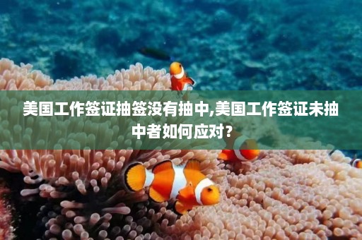 美国工作签证抽签没有抽中,美国工作签证未抽中者如何应对？