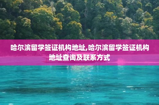 哈尔滨留学签证机构地址,哈尔滨留学签证机构地址查询及联系方式