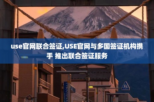 use官网联合签证,USE官网与多国签证机构携手 推出联合签证服务