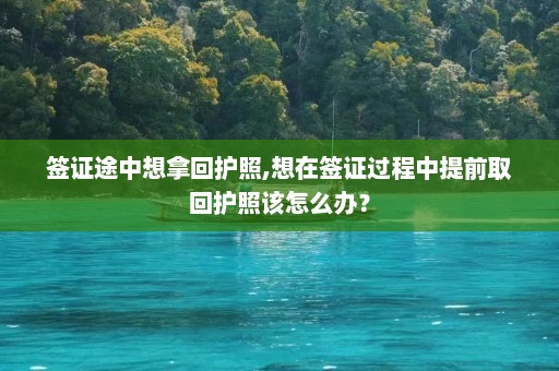 签证途中想拿回护照,想在签证过程中提前取回护照该怎么办？  第1张