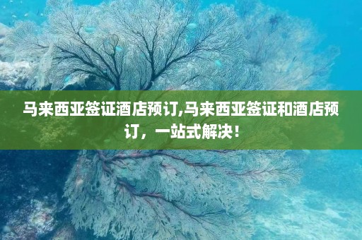 马来西亚签证酒店预订,马来西亚签证和酒店预订，一站式解决！