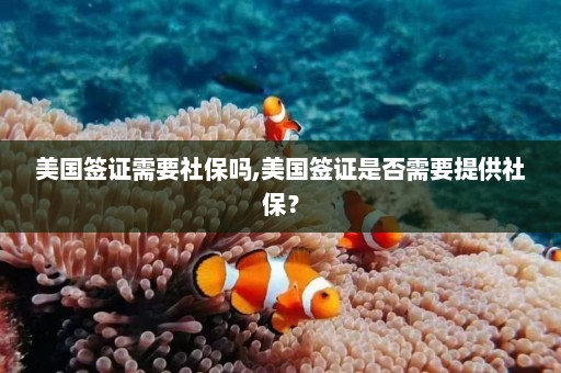 美国签证需要社保吗,美国签证是否需要提供社保？